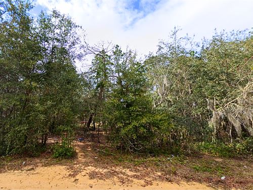 Affordable, Power Across The Street : Interlachen : Putnam County : Florida