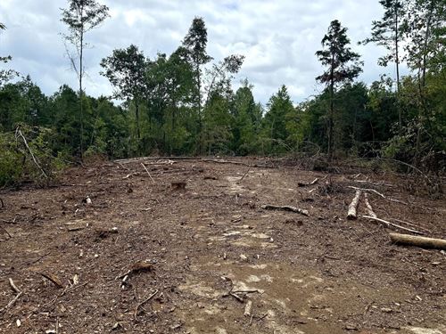 11 Acres In Winston County, MS : Noxapater : Winston County : Mississippi