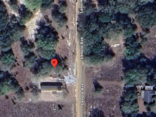 Double Lot Opportunity : Interlachen : Putnam County : Florida
