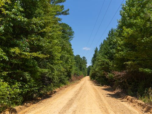 $999 Down Land with Electricity : Beaverton : Lamar County : Alabama