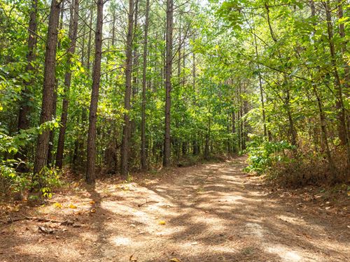 $499 Down Raw Land : Linden : Perry County : Tennessee