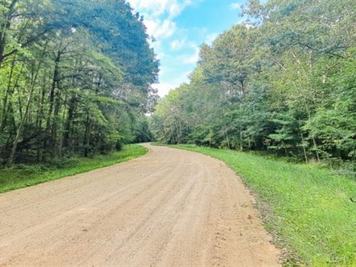 Lake Life vs City Grind : Browerville : Todd County : Minnesota