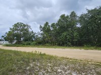 Affordable Lot Near Violet Lake : Interlachen : Putnam County : Florida