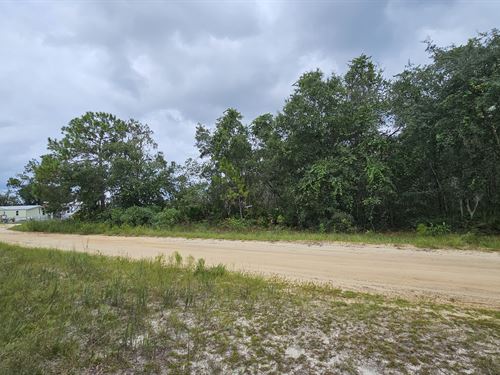 Affordable Lot Near Violet Lake : Interlachen : Putnam County : Florida