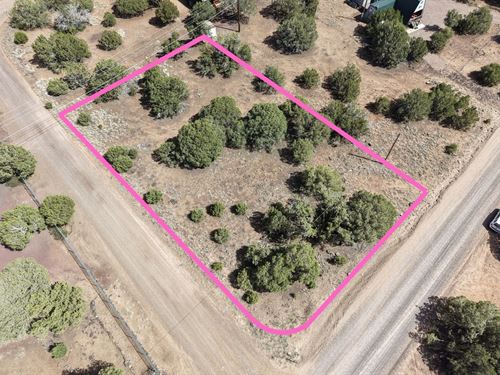 Seller Finance with $2000 Down : Show Low : Navajo County : Arizona