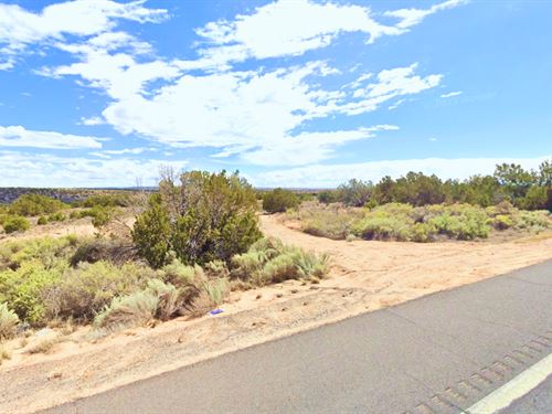 Raw Land 1.07 Acre in Az, $96/Mo : Sanders : Apache County : Arizona