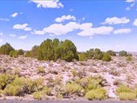 Build or Camp on 1.07 Acres in AZ : Sanders : Apache County : Arizona