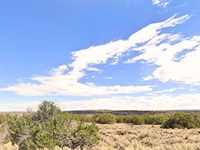 Raw Land 1.07 Acre in Az, $96/Mo : Sanders : Apache County : Arizona