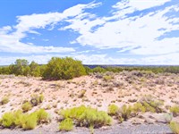 Raw Land 1.07 Acre in Az, $96/Mo : Sanders : Apache County : Arizona