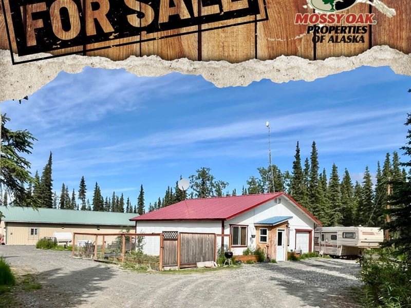 21635 Renault : Kasilof : Kenai Peninsula Borough : Alaska