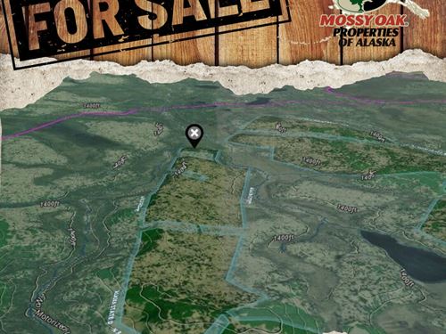 5 Remote Acres in Coveted Caribou : Homer : Kenai Peninsula Borough : Alaska