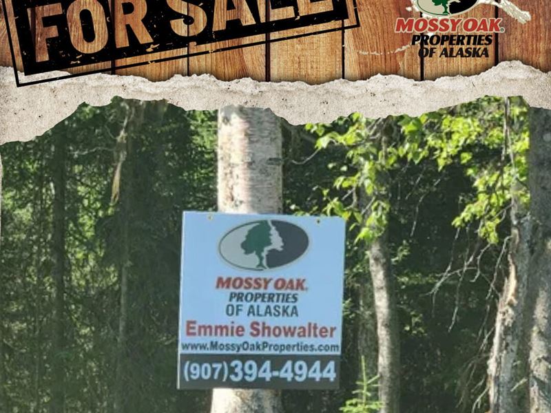 48865 Tote Road : Soldotna : Kenai Peninsula Borough : Alaska