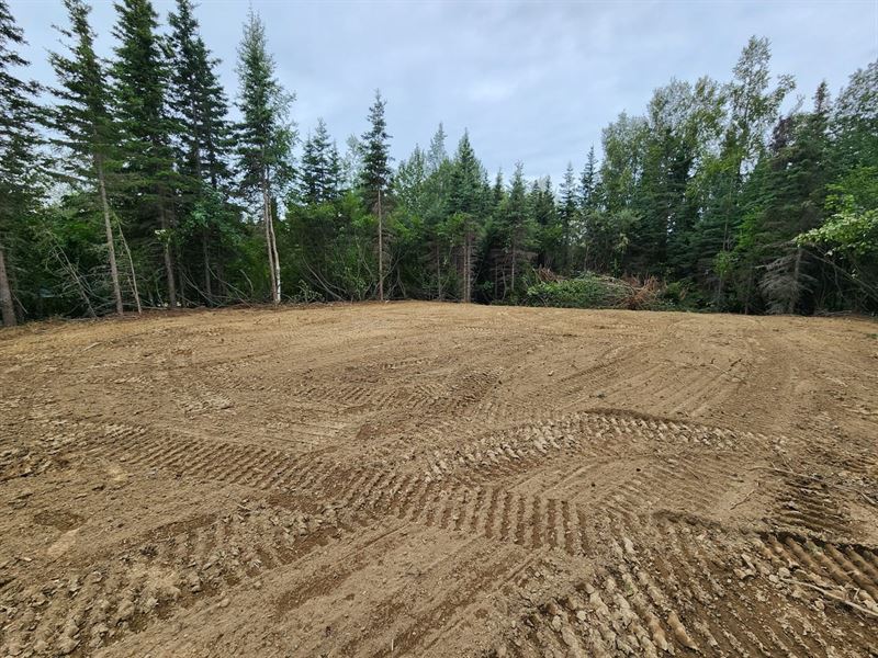 A Rare Combination of Convenience : Soldotna : Kenai Peninsula Borough : Alaska