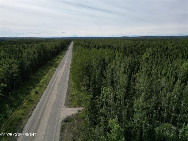 Brown's Lake Road Lot, Otna AK : Soldotna : Kenai Peninsula Borough : Alaska