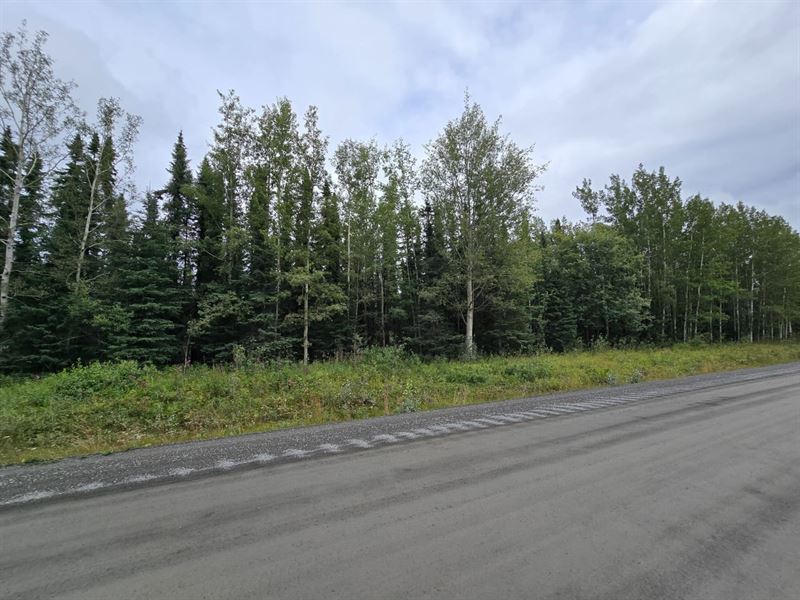 NO Ccr's 1.05 Ac Lot on Brown's Lak : Soldotna : Kenai Peninsula Borough : Alaska