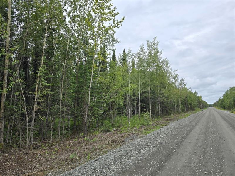 1.09 Ac Lot with Electricity On Rd : Soldotna : Kenai Peninsula Borough : Alaska