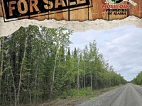 1.08 Ac Lot Funny River Area-No Ccr : Soldotna : Kenai Peninsula Borough : Alaska