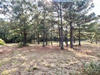 Ratcliff 9.14 : Ratcliff : Logan County : Arkansas