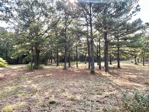 Ratcliff 9.14 : Ratcliff : Logan County : Arkansas