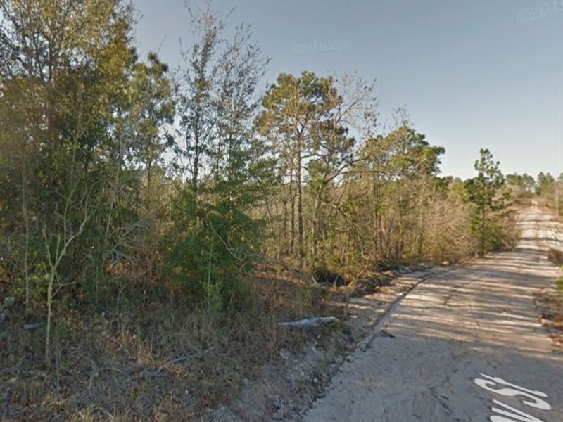 Future-Proof Your Freedom : Interlachen : Putnam County : Florida