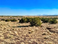 Claim Your Adventure in Concho, AZ : Concho : Apache County : Arizona