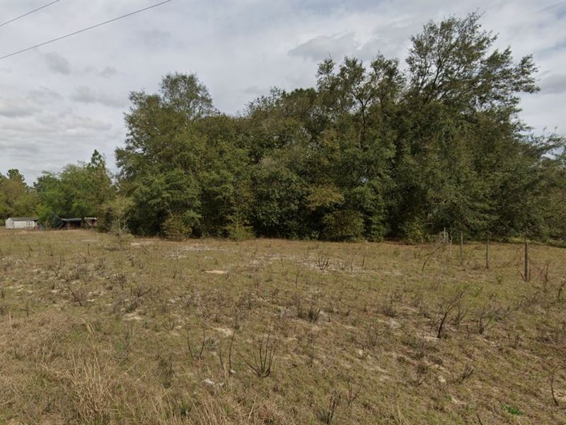 Solid Investment or Future Homesite : Interlachen : Putnam County : Florida