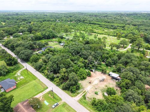 Beach Days and Backyard Play : Hitchcock : Galveston County : Texas