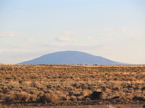 Affordable 4.8 Acres in Colorado : Blanca : Costilla County : Colorado