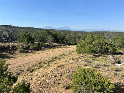 Lot 905 Rio Cucharas Phs 3, Walsen : Walsenburg : Huerfano County : Colorado