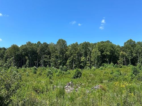 5.12 Acres Unrestricted Property : Tracy City : Grundy County : Tennessee