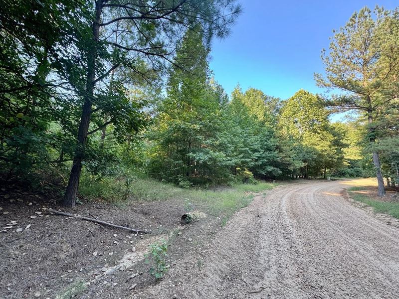 13.5 Acres in Carroll County in Car : Carrollton : Carroll County : Mississippi