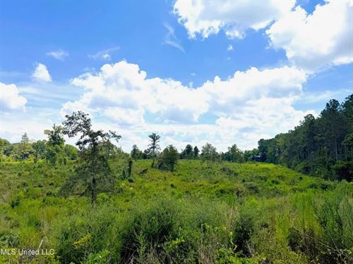 8 Acres of Land For Sale in North : Jayess : Pike County : Mississippi