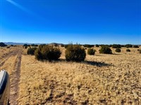 Your Homestead Story in Concho, AZ : Concho : Apache County : Arizona