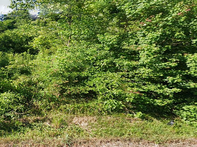 Invest in Your Dreams in Jefferson : Pines Bluff : Jefferson County : Arkansas