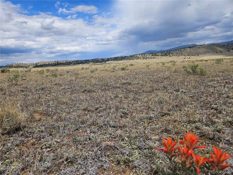 Level 5 Acre Lot : Hartsel : Park County : Colorado