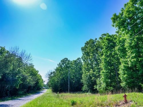 Half Acre by Diamond Lake : Horseshoe Bend : Izard County : Arkansas