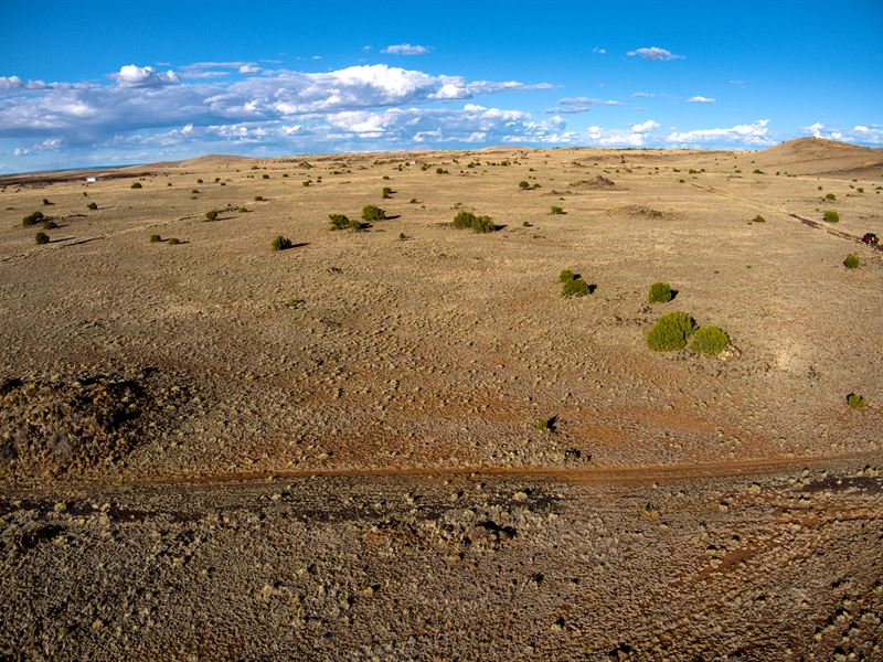 Find Freedom on 1 Acre : Concho : Apache County : Arizona