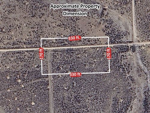 1.25 Acres of Pure Idaho Freedom : Shoshone : Camas County : Idaho