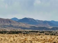 Black Friday Half Price Payments : Concho : Apache County : Arizona