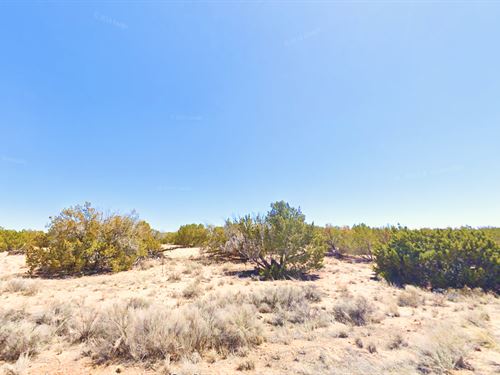 Camp, Rv, or Build-2.5 Acres in AZ : Saint Johns : Apache County : Arizona