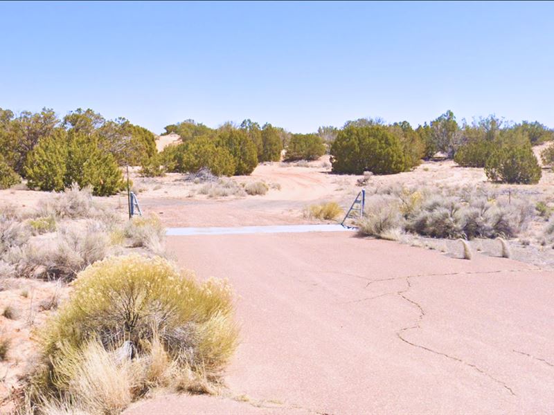 Camp, RV or Build, 2.5 Acres in AZ : Saint Johns : Apache County : Arizona