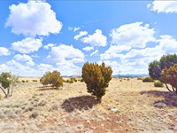 First-Time Owner Friendly 1.12 Acre : Concho : Apache County : Arizona