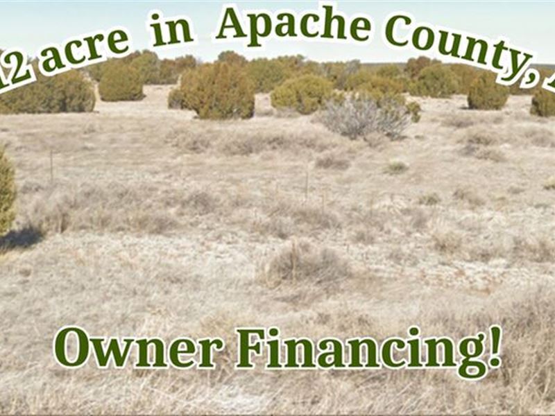 Great Adventures Awaits You : Concho : Apache County : Arizona