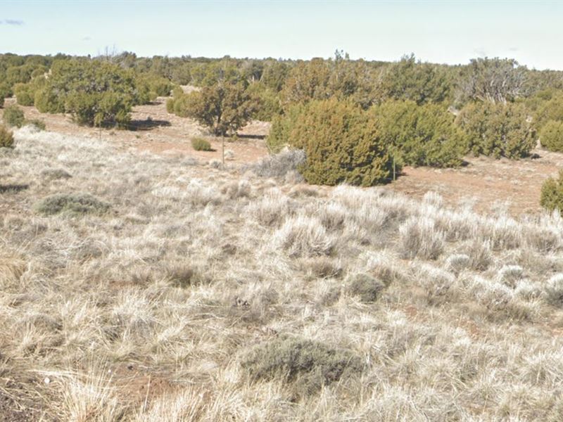 Great Adventures Awaits You : Concho : Apache County : Arizona