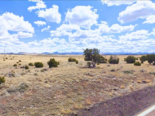 Own It All 1.12 Acre in Az, $105/Mo : Concho : Apache County : Arizona