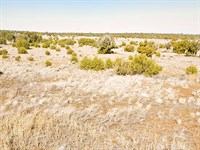 Own It All 1.12 Acre in Az, $105/Mo : Concho : Apache County : Arizona