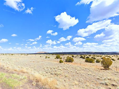 Stunning 1.12 Acre in Az, $105/Mo : Concho : Apache County : Arizona