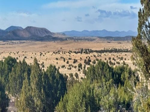 No More Landlords, Ever Again : Concho : Apache County : Arizona