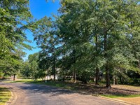 .7 Acre Lot in Knightsbridge Subdi : Madison : Mississippi