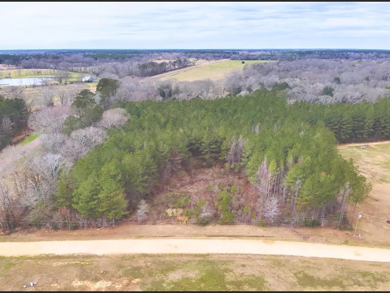 2.79 Acres in Pike County in Summit : Summit : Pike County : Mississippi